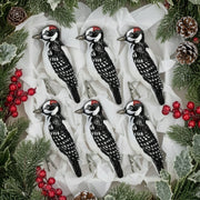 Hairy Woodpecker Ornament 6 pk