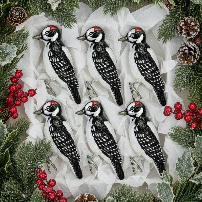 Hairy Woodpecker Ornament 6 pk