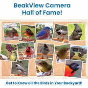 Collage of various birds with text about BeakView Camera Hall of Fame and bird identification.