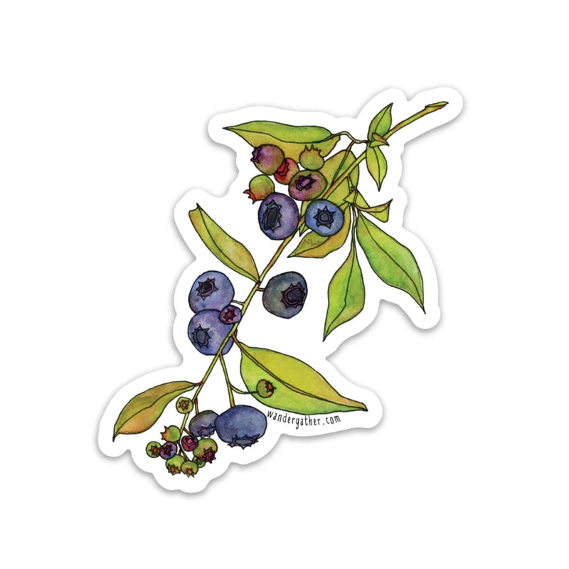 Sticker with a design of blueberries and leaves on a white background