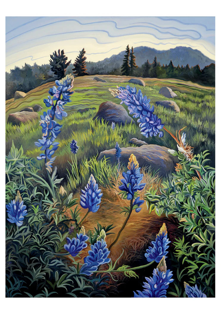 Phyllis Shafer: Hope's Lupine Birthday Card