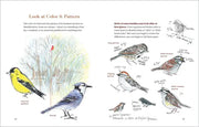 How to Look at a Bird
sample pages