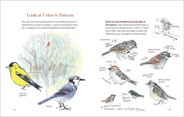 How to Look at a Bird
sample pages