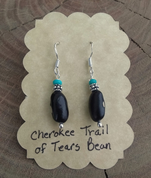 Trail of Tears Seed Dangling Earrings