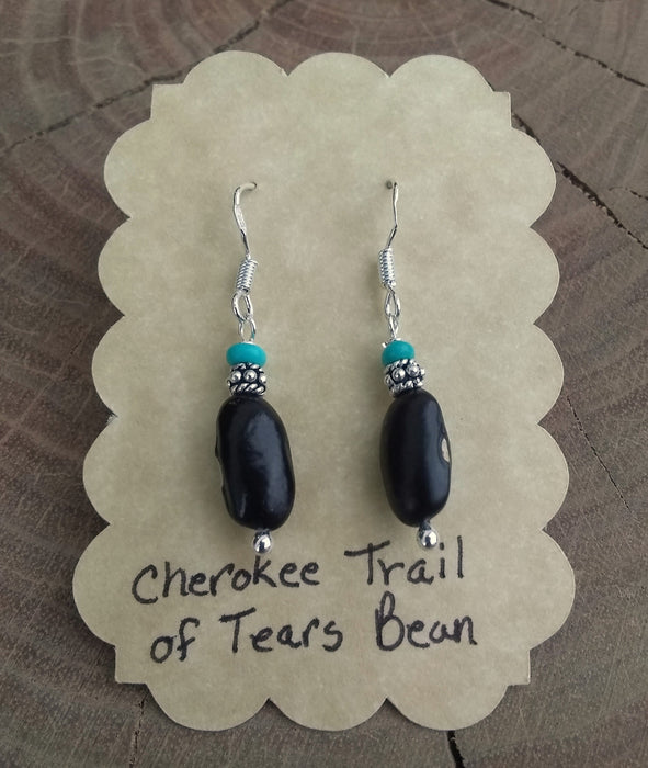 Trail of Tears Seed Dangling Earrings