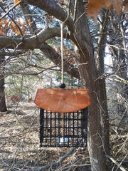 Double Suet Cake Feeder -with Copper Tint Roof
