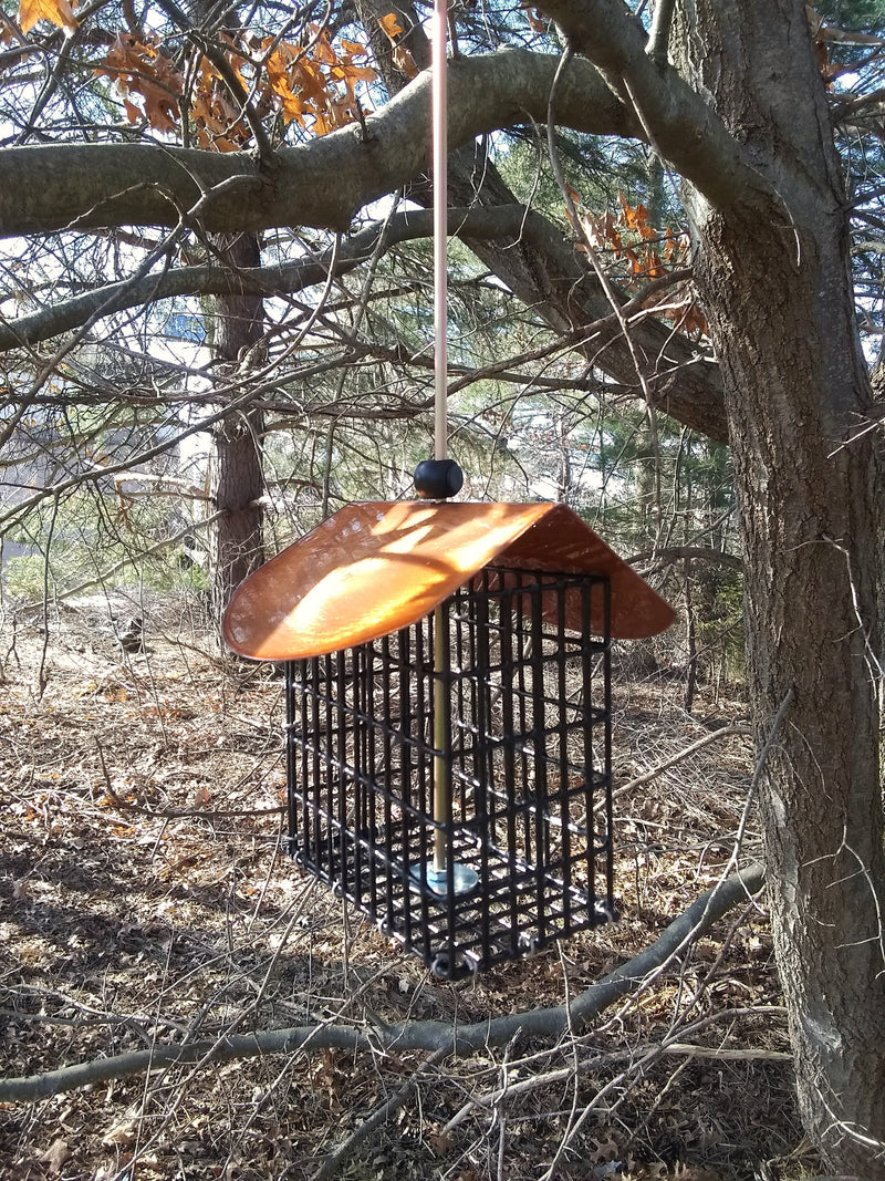 Double Suet Cake Feeder -with Copper Tint Roof