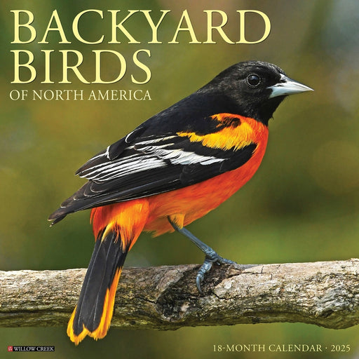 Backyard Birds Wall Calendar 
Front Cover