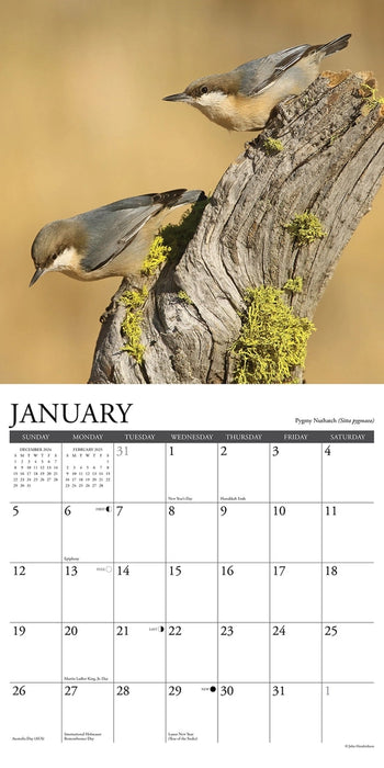 Backyard Birds Wall Calendar 
Sample Page