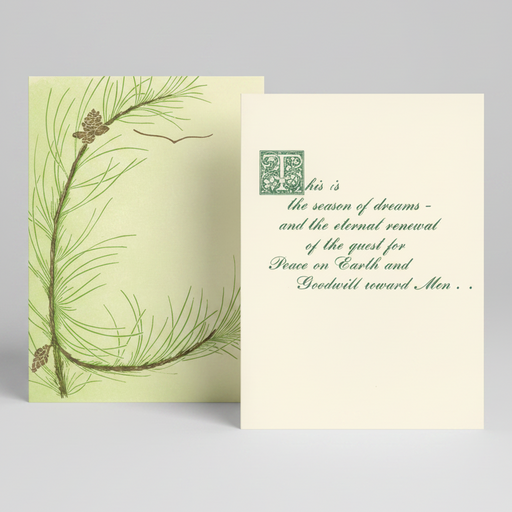 large Christmas card with pretty Norway pine bough and bird silhouette on front and message inside