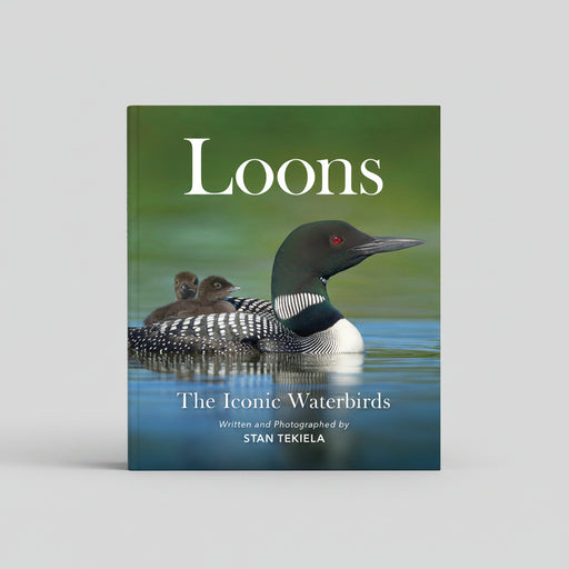 Loons: the Iconic Waterbirds