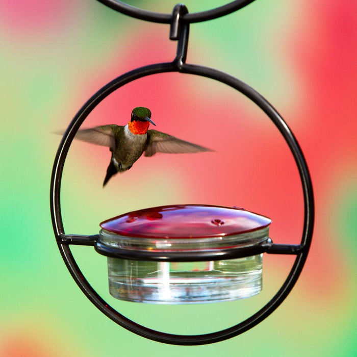 Hummble Slim Hanging Sphere Hummingbird Feeder shown with ruby-throated hummingbird hovering
