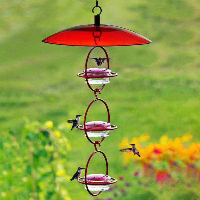 multiple feeders hanging stacked featuring red glass weather dome