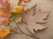 Silver Maple Stoneware Trinket Dish - Medium