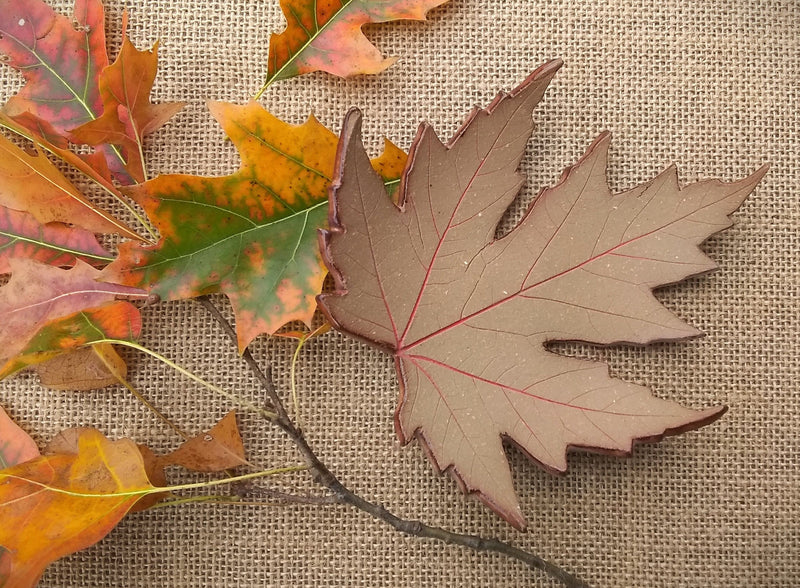 Silver Maple Stoneware Trinket Dish - Medium