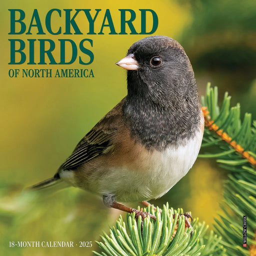 Backyard Birds Mini Wall Calendar
Front Cover