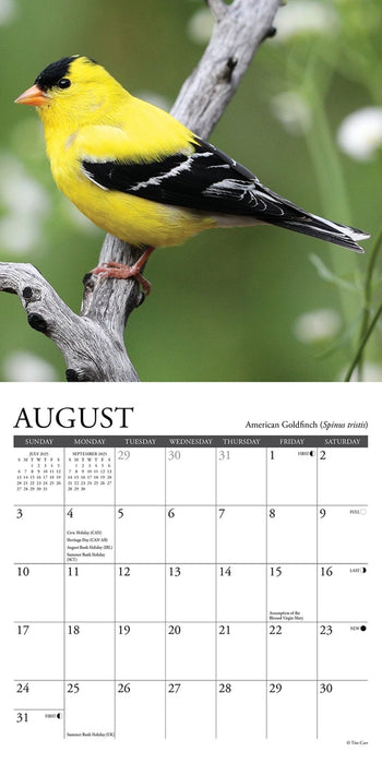 Backyard Birds Mini Wall Calendar
sample page