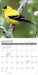 Backyard Birds Mini Wall Calendar
sample page