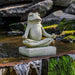 Mini Zen Frog Stone Statuette - English Moss