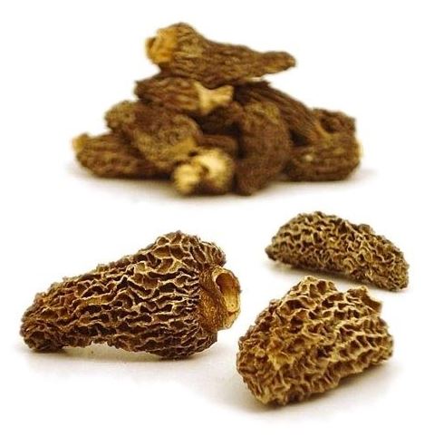 Dried Morel Mushrooms - 0.5 oz