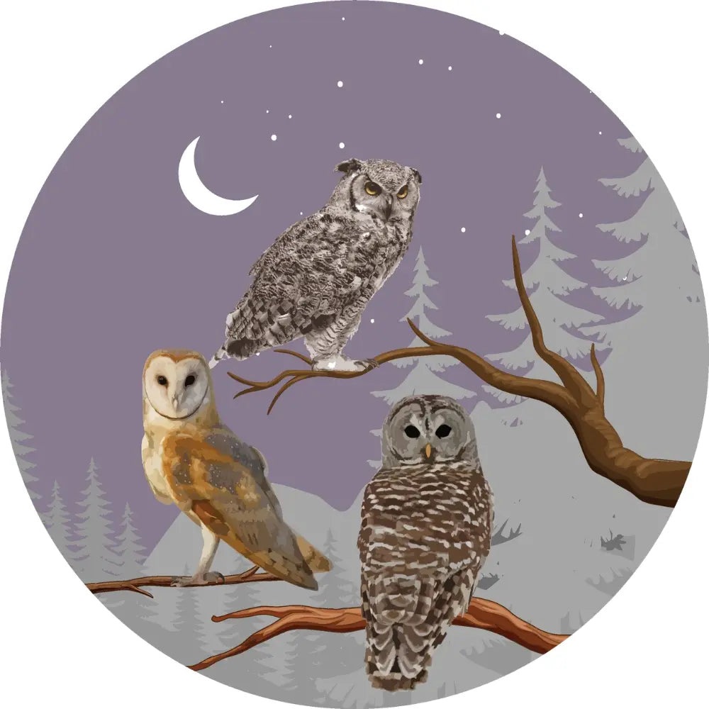 Mouse Pad - Owl