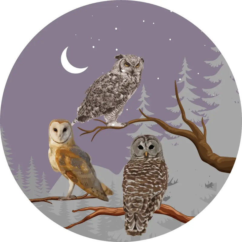 Three owls on branches with a purple sky and moon decorate circular mouse pad