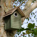 New England Nest Box Green