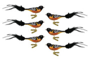 Baltimore Oriole Ornament - Set of 6