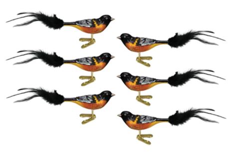 Baltimore Oriole Ornament - Set of 6