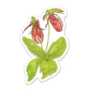 Sticker with a illustration of pink lady slipper flower with green foliage on a white background