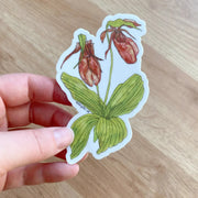 Hand holding a sticker of a pink lady slipper flower with green leaves.