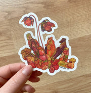 Hand holding a colorful sticker featuring a purple pitcher plant wildflower