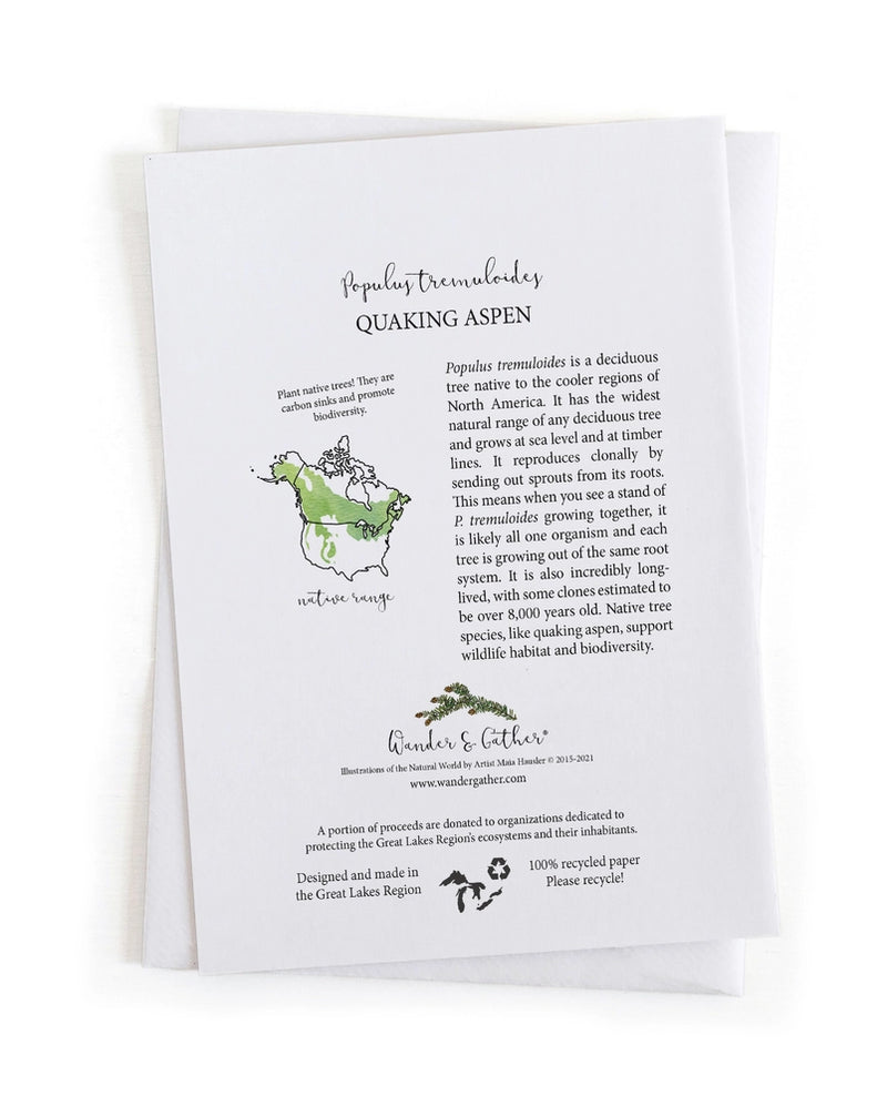Back of greeting card with species information and range map for the native Quaking Aspen tree, illustrations and text on a white background