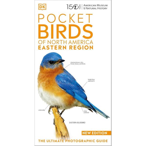Book cover of 'Pocket Birds of North America Eastern Region' with an illustration of a bluebird.