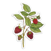 Sticker featuring a red raspberry branch with leaves and berries on a white background