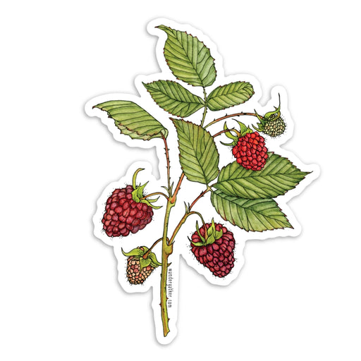 Sticker featuring a red raspberry branch with leaves and berries on a white background