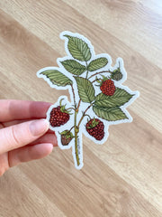 Hand holding a sticker of red raspberries and leaves 