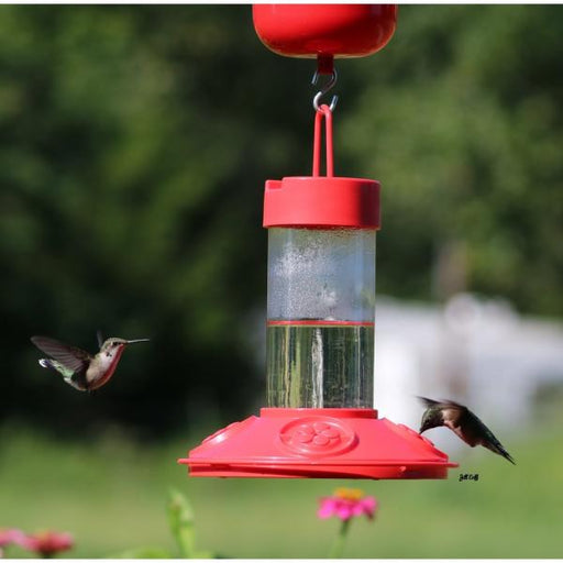 Dr. JB's 16 oz Clean Hummingbird Feeder - Red with Red Flowers
in use