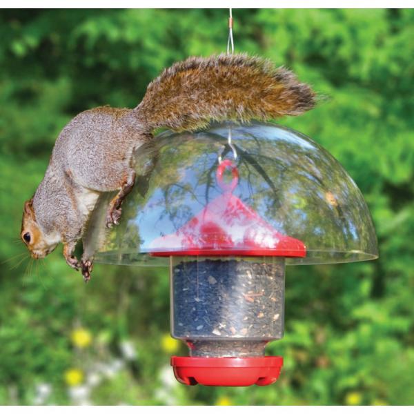 12 inch Hanging Baffle
thwarting a squirrel