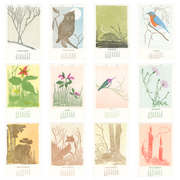 Calendar with illustrations of animals and plants for each month on a white background