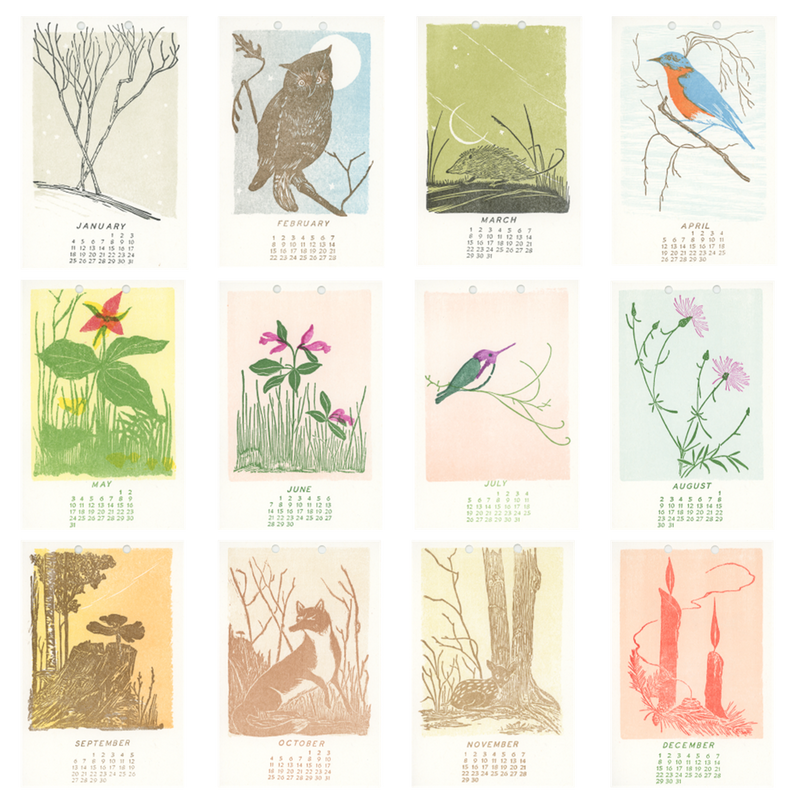 Calendar with illustrations of animals and plants for each month on a white background
