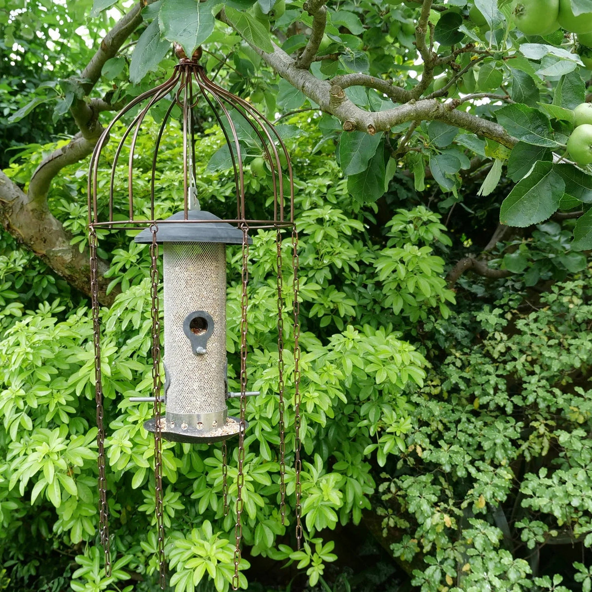 Simon King Medusa Bird Feeder Defender — Nature Niche