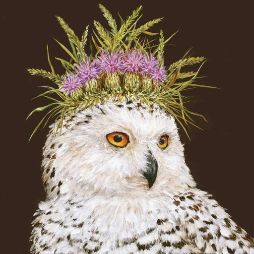 Snowy owl with a thistle bloom headpiece on a dark background