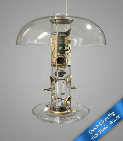 Clear bird feeder with a dome cover on a gray background