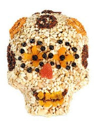 Birdseed skull with colorful face on a white background Yellow and Brown