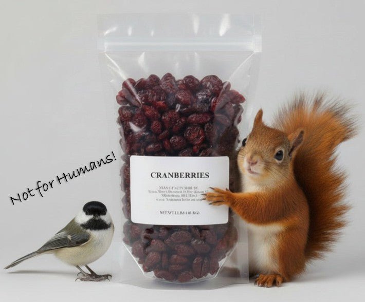 Dried cranberries for our feathered and furry friends. This product is not for human consumption