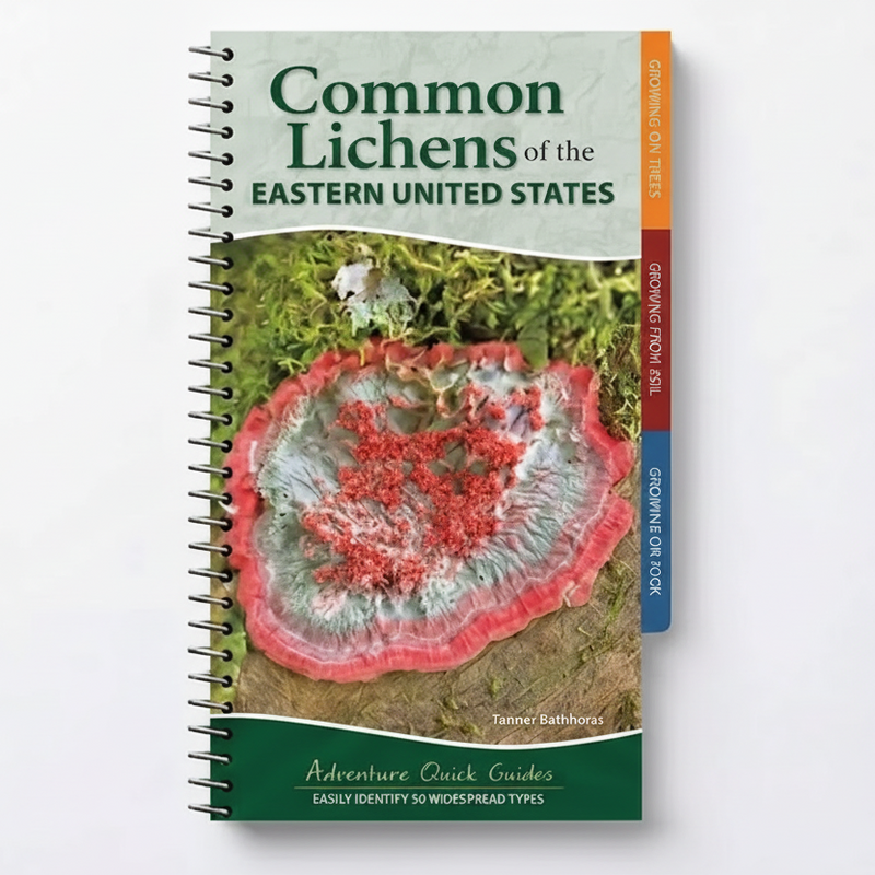 Common Lichens of the Eastern United States Quick Guide