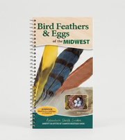 Bird Feathers & Eggs of the Midwest Quick Guide