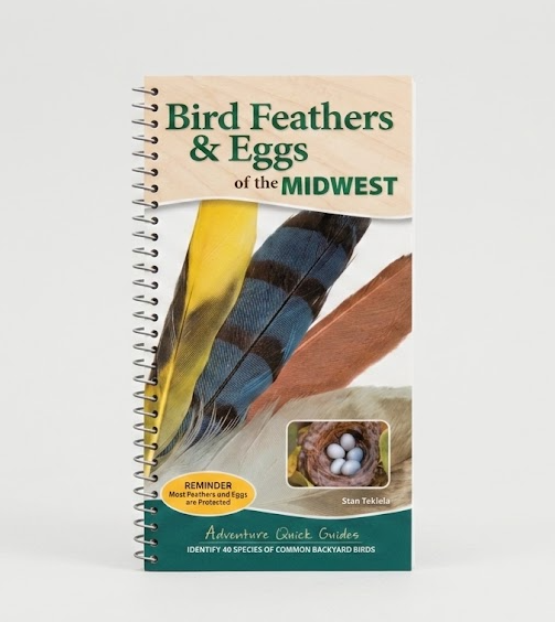 Bird Feathers & Eggs of the Midwest Quick Guide