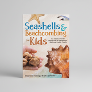 Seashells and Beachcombing For Kids